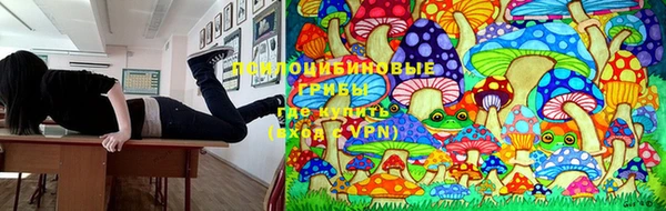 эйфоретик Балахна
